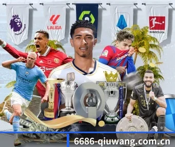 6686体育球网 APP