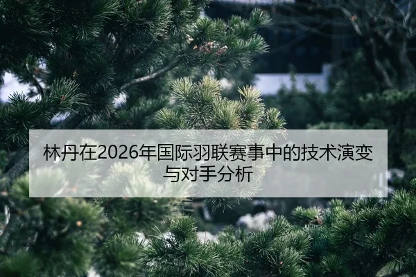 lin-dan-zai-nian-guo-ji-yu-lian-sai-shi-zhong-de-ji-shu-yan-bian-yu-dui-shou-fen-xi-2-129.jpg