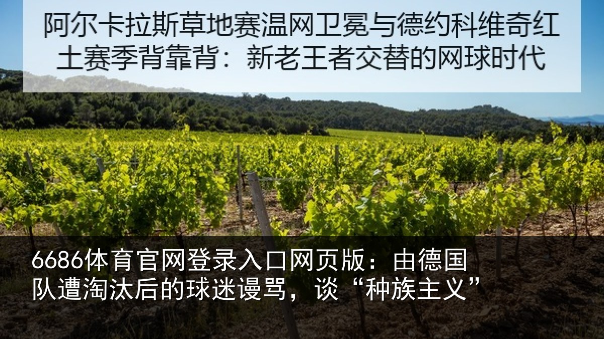 6686体育官网登录入口网页版：由德国队遭淘汰后的球迷谩骂，谈“种族主义”