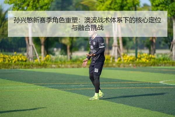 sun-xing-min-xin-sai-ji-jue-se-zhong-su-ao-bo-zhan-shu-ti-xi-xia-de-he-xin-ding-wei-yu-rong-he-tiao-zhan-2-870.jpg