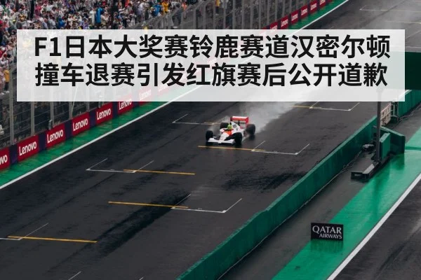F1日本大奖赛铃鹿赛道汉密尔顿撞车退赛引发红旗赛后公开道歉