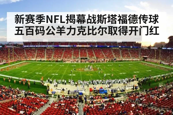 NFL stadium game action
